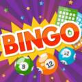 Play Online Bingo – An Exhaustive Guide For Beginner Players 